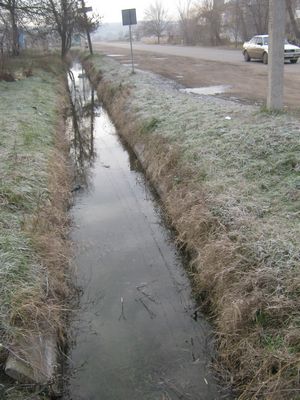 IMG 0269