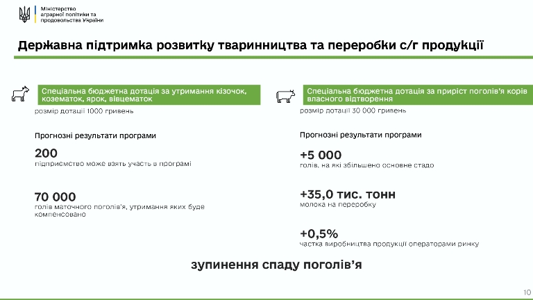 Держпідтримка 2022 vС.1 page 0009