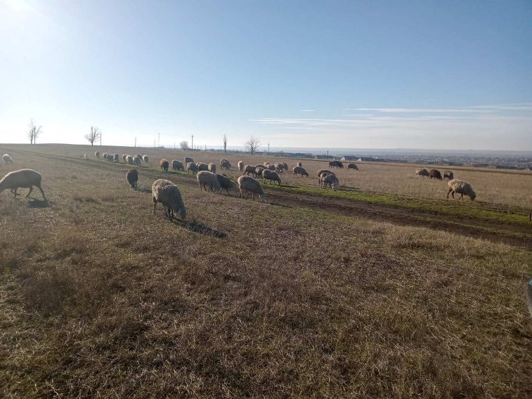photo 2024 03 13 12 47 12